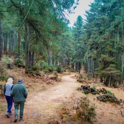 a walk in the nature