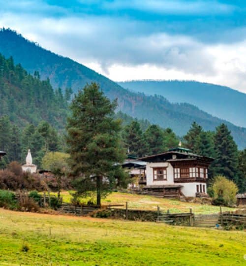 phobjikha