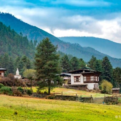 phobjikha