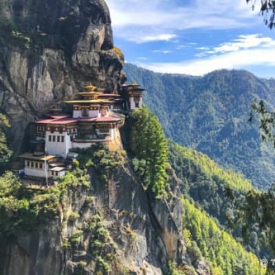tigers nest