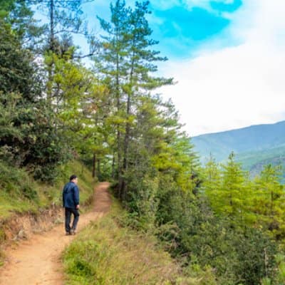 walk in the nature